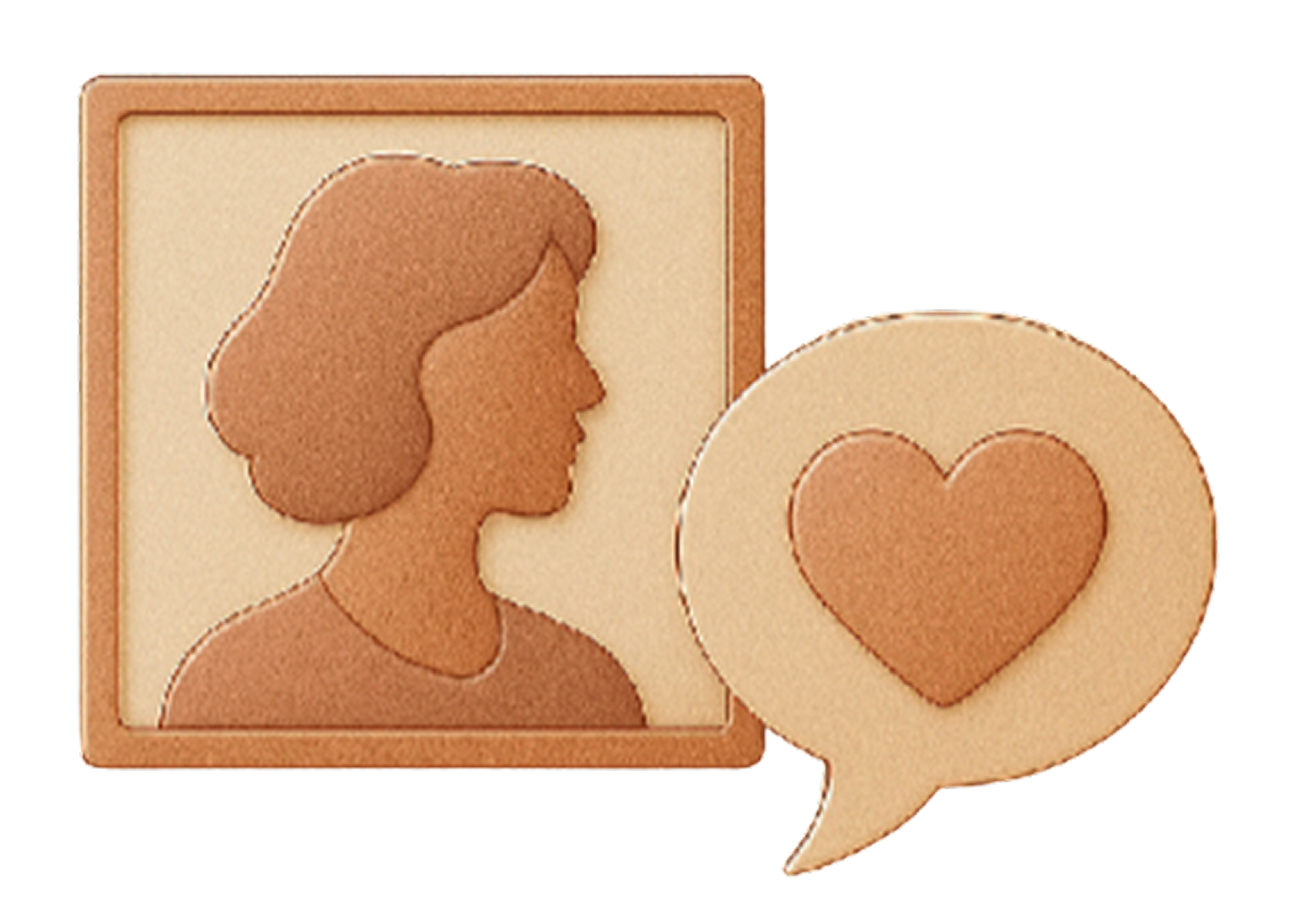 Case Icon
